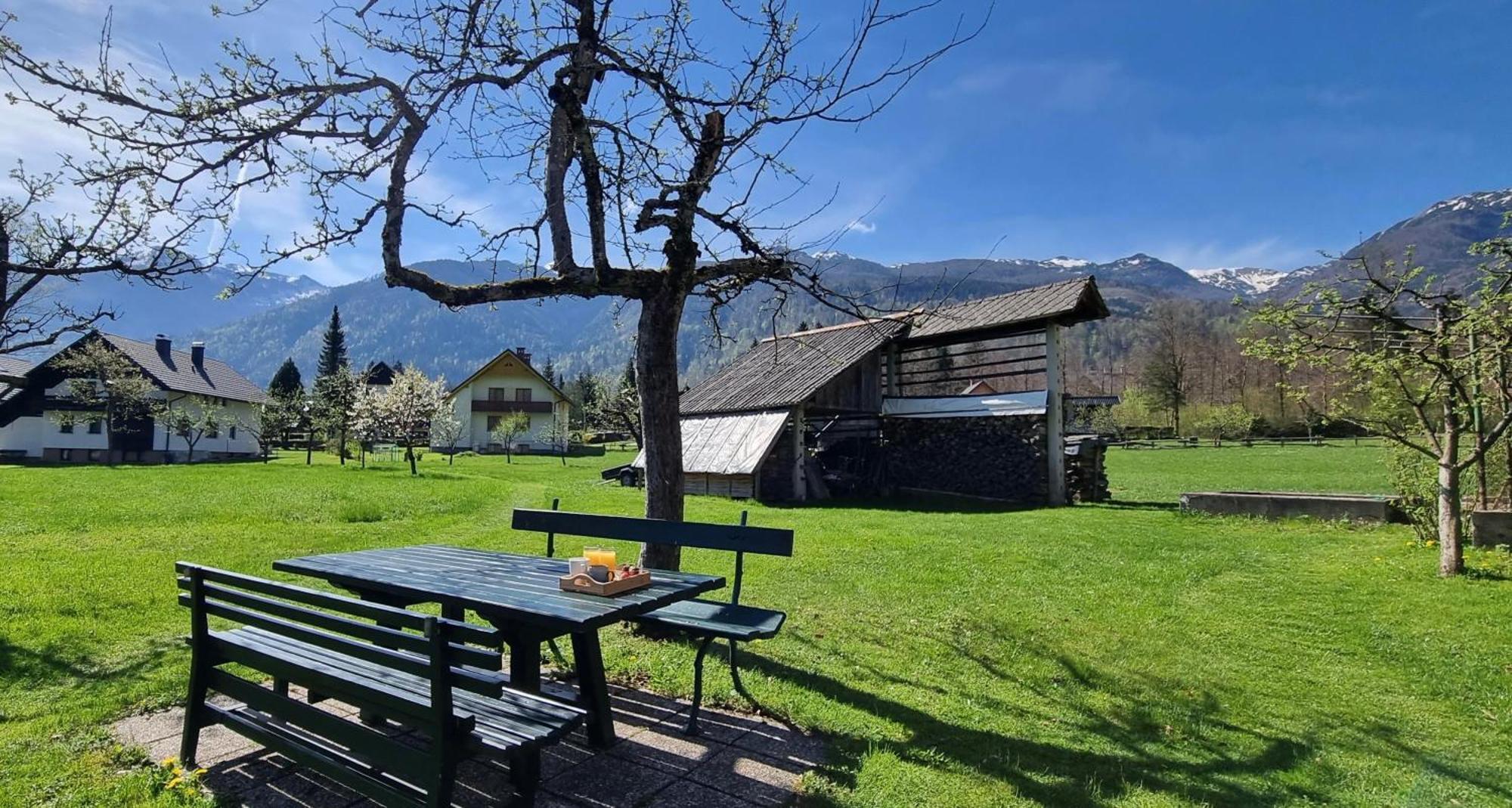 Apartments Skantar Bohinj Buitenkant foto